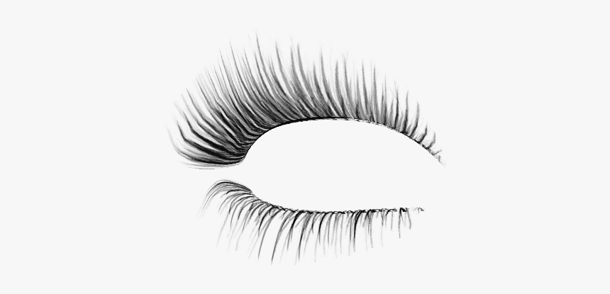 #eyelashes #blacklashes #lashextensions #lashesonfleek - Transparent Background Eyelash Png, Png Download, Free Download