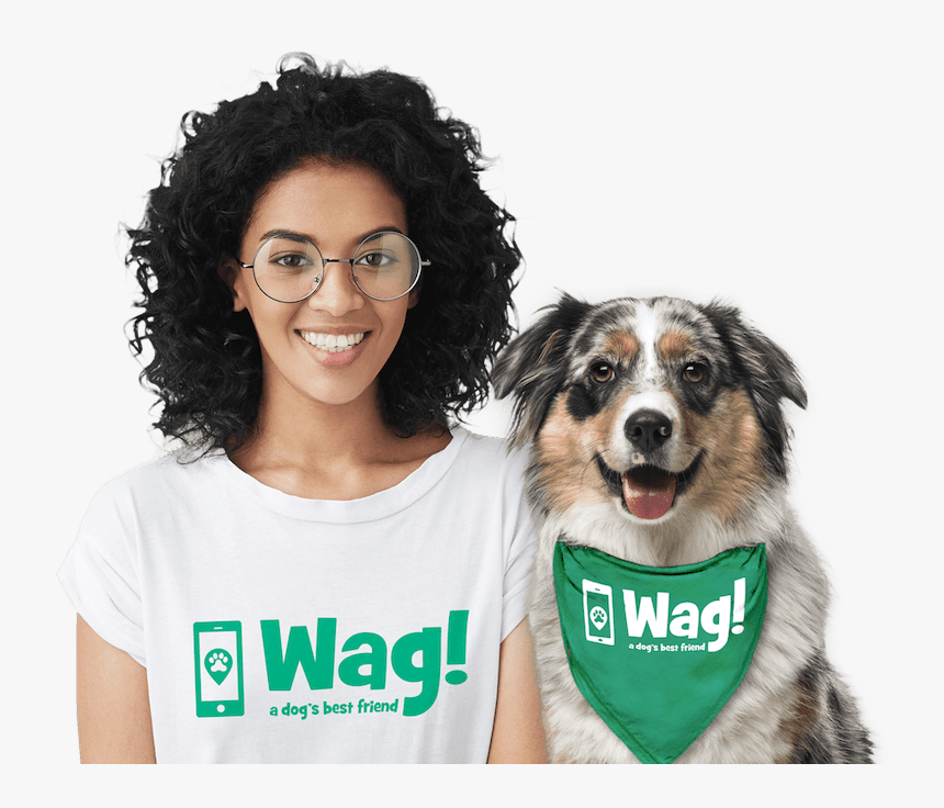 Pub Wag Walking, HD Png Download, Free Download