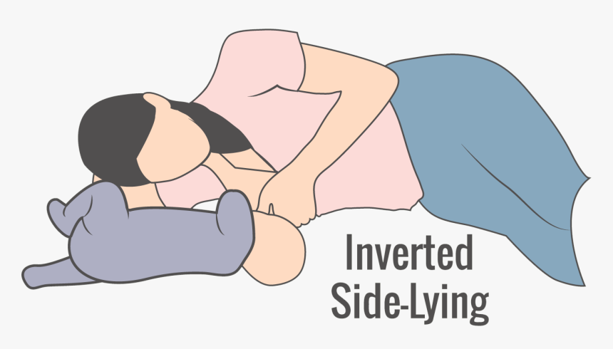 Illustration Of Inverted Side-lying Breastfeeding Hold - Inverted Side Lying Breastfeeding Position, HD Png Download, Free Download