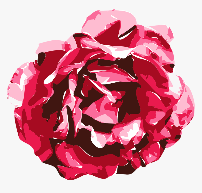 Vector Graphics Of A Rose - Red Rose Transparent Png Draw, Png Download, Free Download