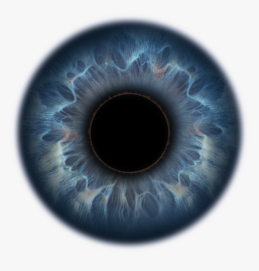 Suren Manvelyan Eyes, HD Png Download, Free Download