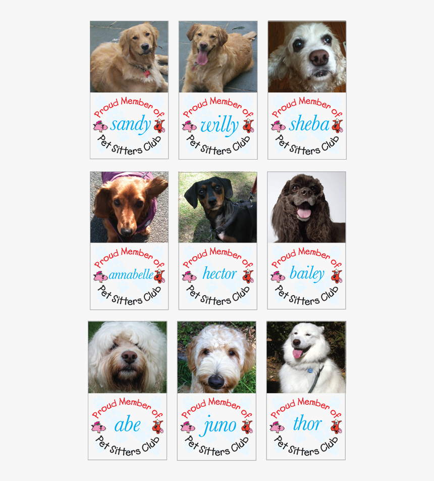 Long Island, Pet Sitters, Dog Walkers, Pet Sit Club, - Companion Dog, HD Png Download, Free Download