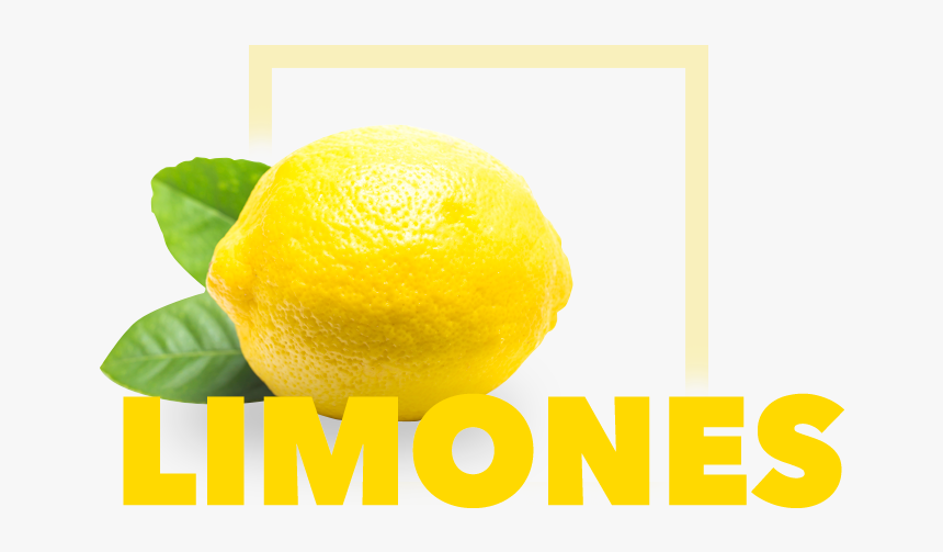 Lemon, HD Png Download, Free Download