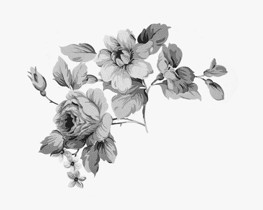 Black And White Flowers Psd, HD Png Download, Free Download