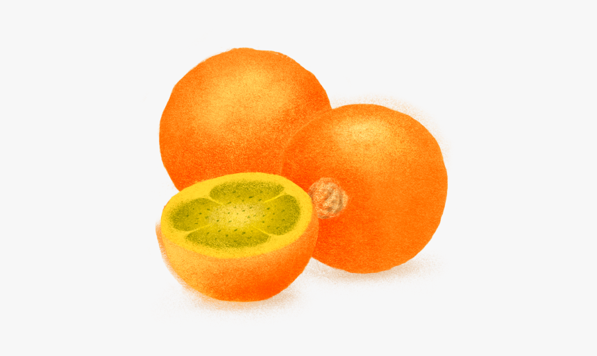 Pomelo, HD Png Download, Free Download