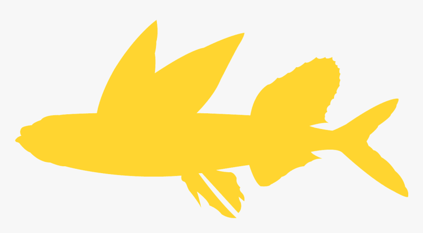 Emblem, HD Png Download, Free Download