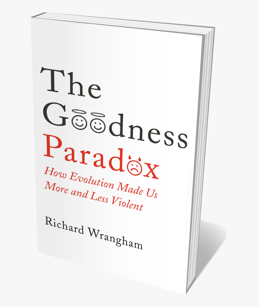 Book Jacket "the Goodness Paradox" - Poster, HD Png Download, Free Download