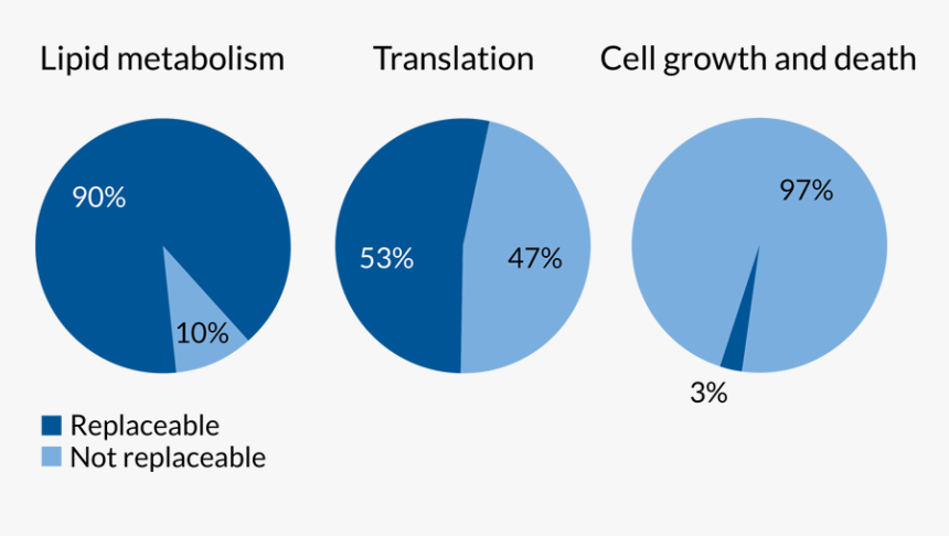 Gene Stats - Circle, HD Png Download, Free Download