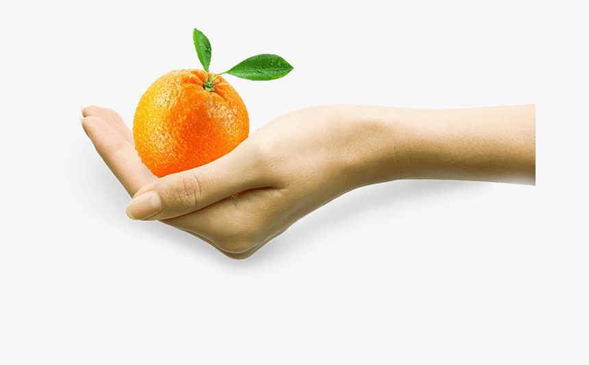 Fruit Pulps - Tangerine, HD Png Download, Free Download