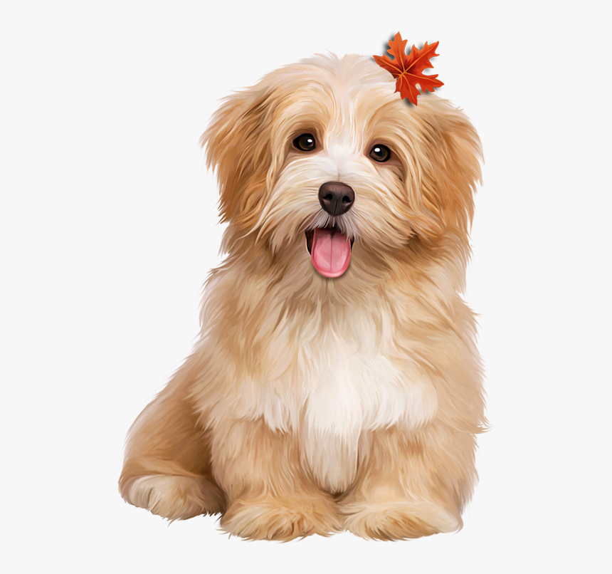 Dogs Sitting, HD Png Download, Free Download