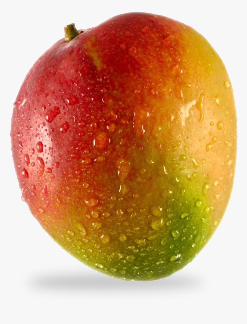 Organic Mango, HD Png Download, Free Download