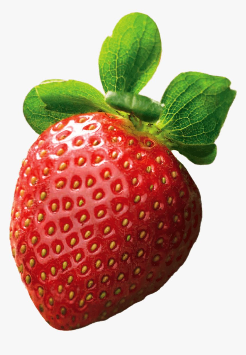 Strawberry Florida, HD Png Download, Free Download