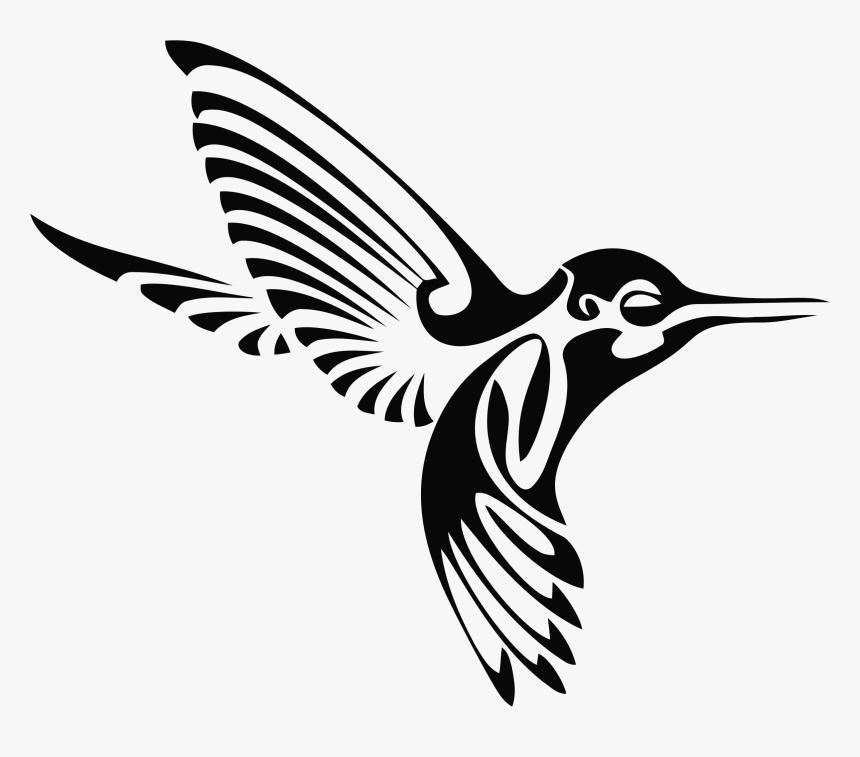 Coral Clipart Tribal - Hummingbirds Black And White, HD Png Download, Free Download