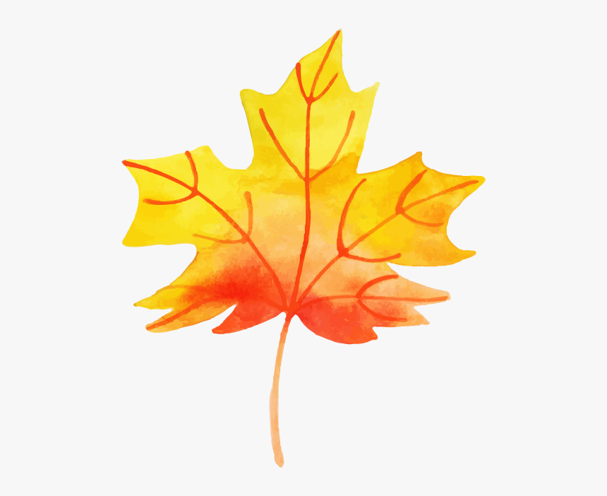 Maple Leaf, HD Png Download, Free Download