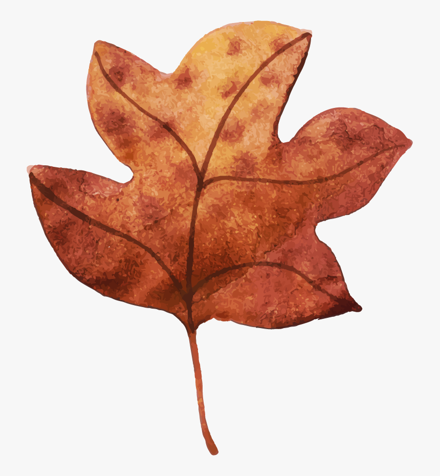 Maple Leaf, HD Png Download, Free Download