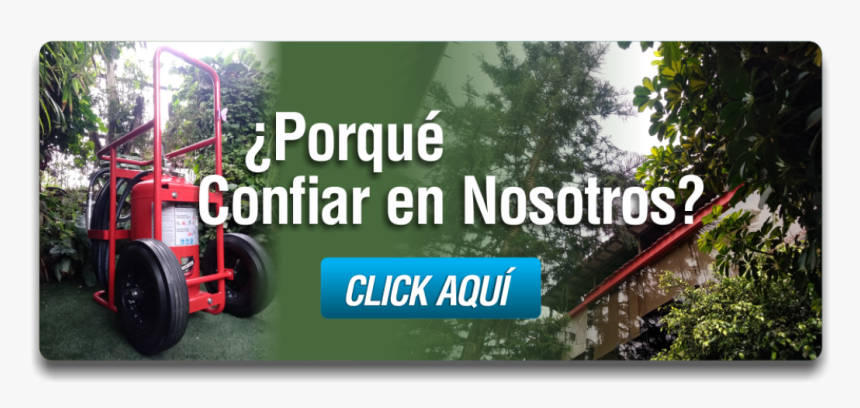 Extintores Buckeye Porque Confiar En Nosotros - Tree, HD Png Download, Free Download