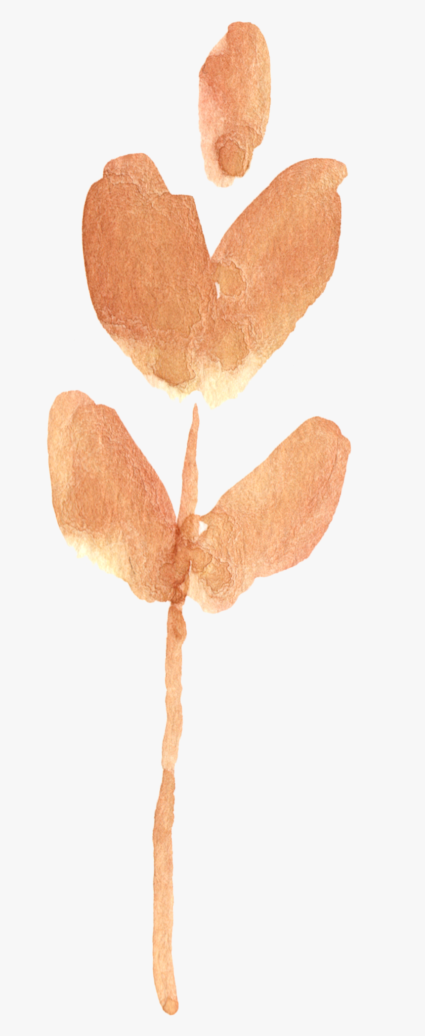 Fall Watercolor Png, Transparent Png, Free Download