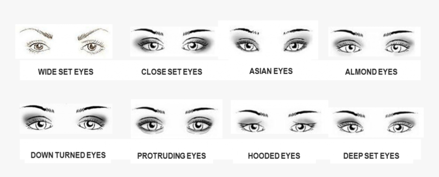 Different Eye Shapes, HD Png Download, Free Download