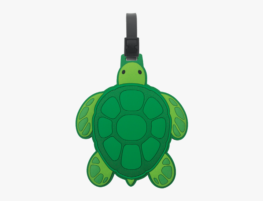 Green Sea Turtle, HD Png Download, Free Download