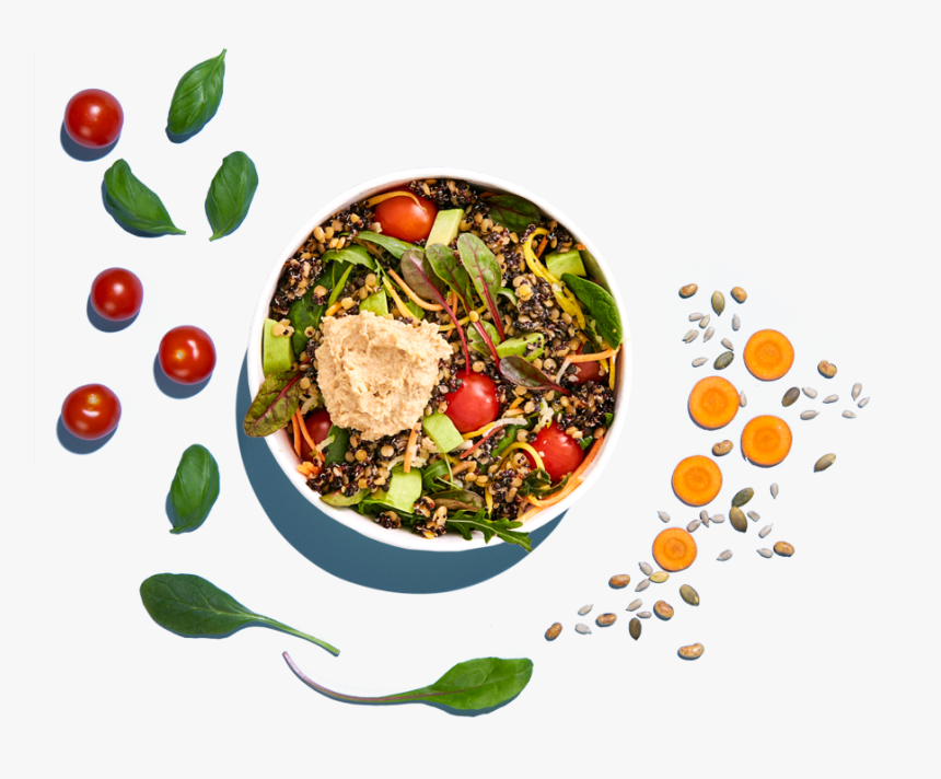 Picadeli Salad Bar, HD Png Download, Free Download