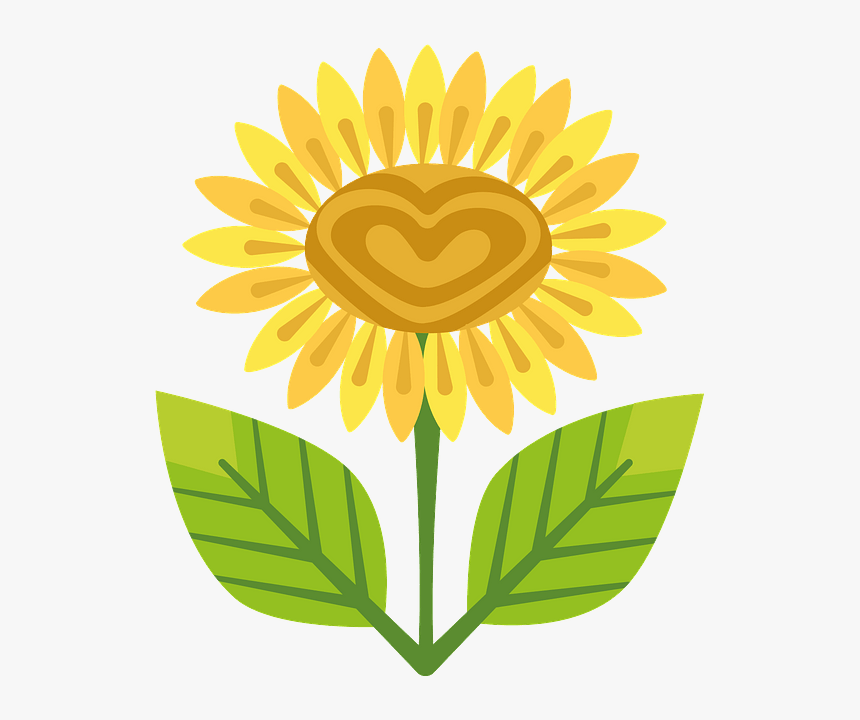 Sunflower In A Pot Cartoon, HD Png Download, Free Download