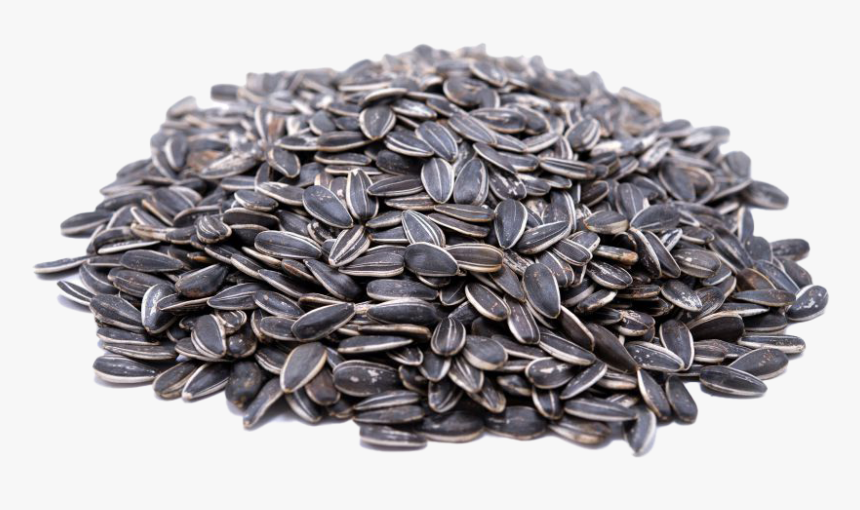 Sunflower Seeds, HD Png Download, Free Download