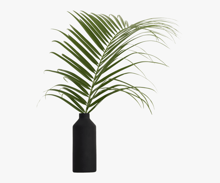 Objects - Houseplant, HD Png Download, Free Download