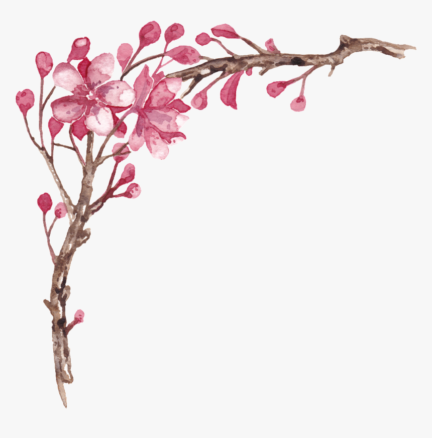Elegante Pintado A Mano Plum Tree Branches Png Transparente - Rosa Glauca, Png Download, Free Download