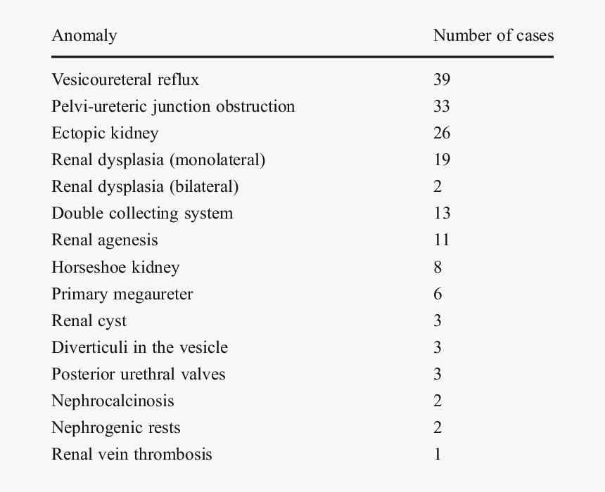 Congenital Abnormalities Of Urinary System, HD Png Download, Free Download