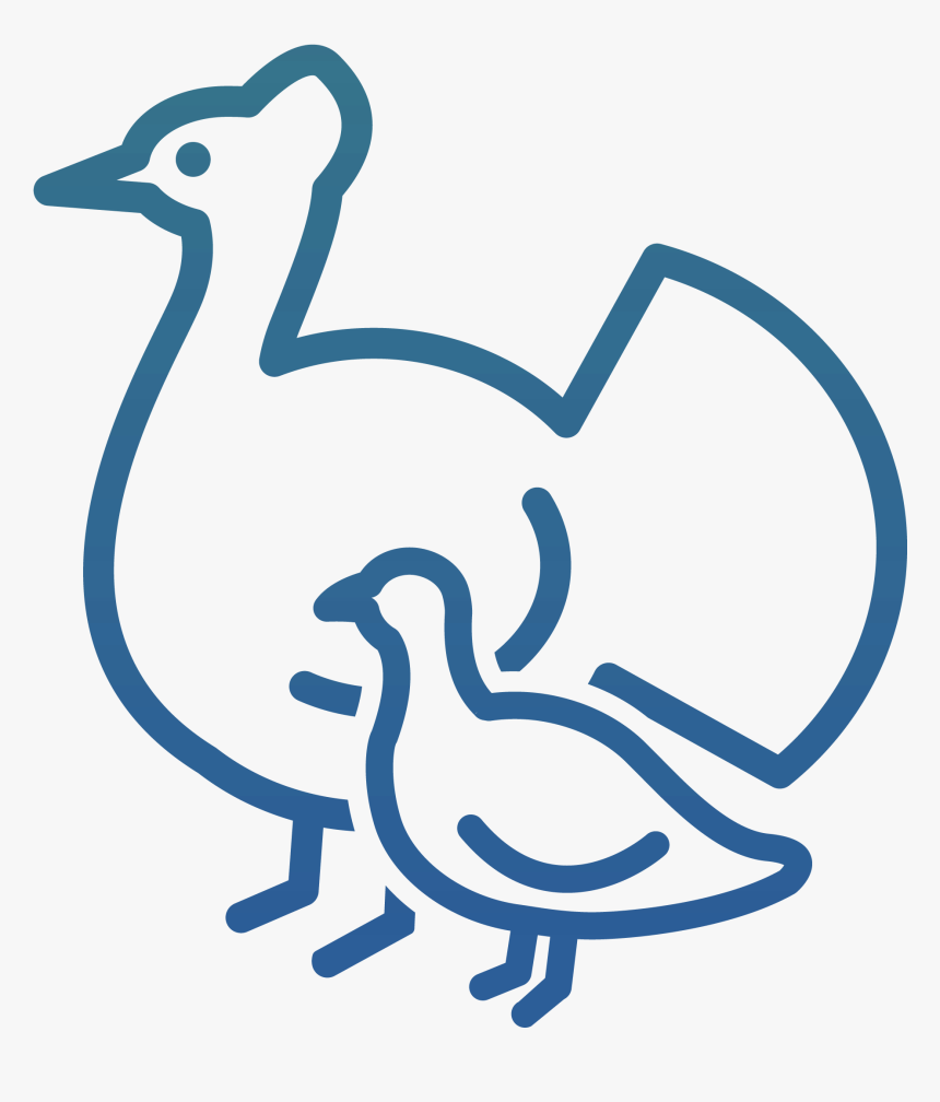 Icon Poultry & Egg Production - Duck, HD Png Download, Free Download