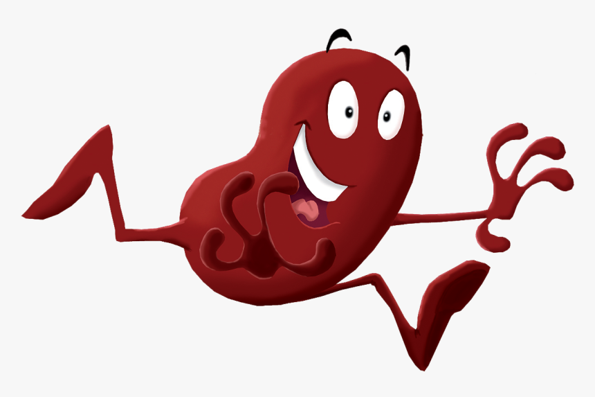 Irish Association Ireland S - Transparent Cartoon Kidney Clipart Png, Png Download, Free Download