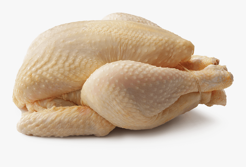 Poultry Wax - Poultry, HD Png Download, Free Download
