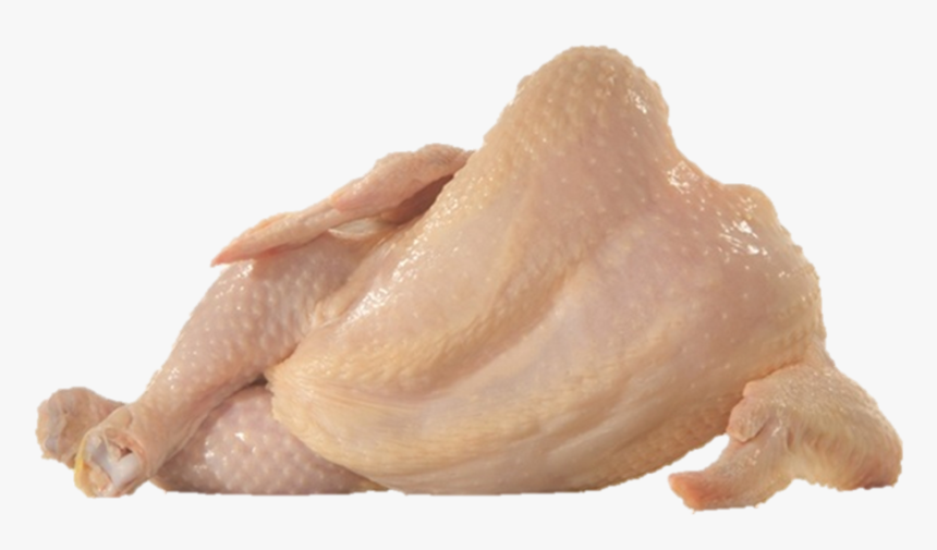 Poultry, Whole Chicken - Me Like One Of Your, HD Png Download, Free Download