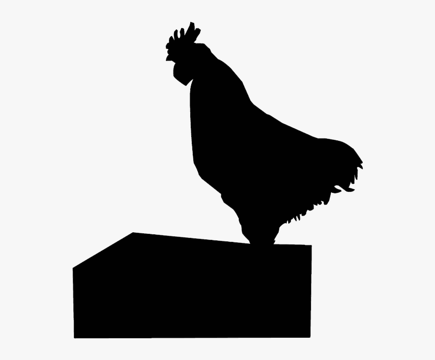 Chicken, HD Png Download, Free Download