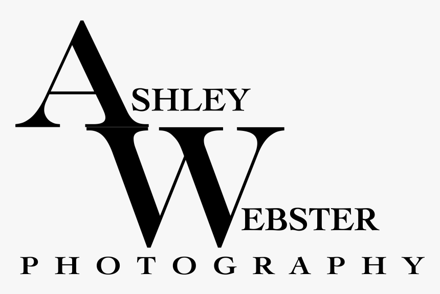 Webster Photography, HD Png Download, Free Download