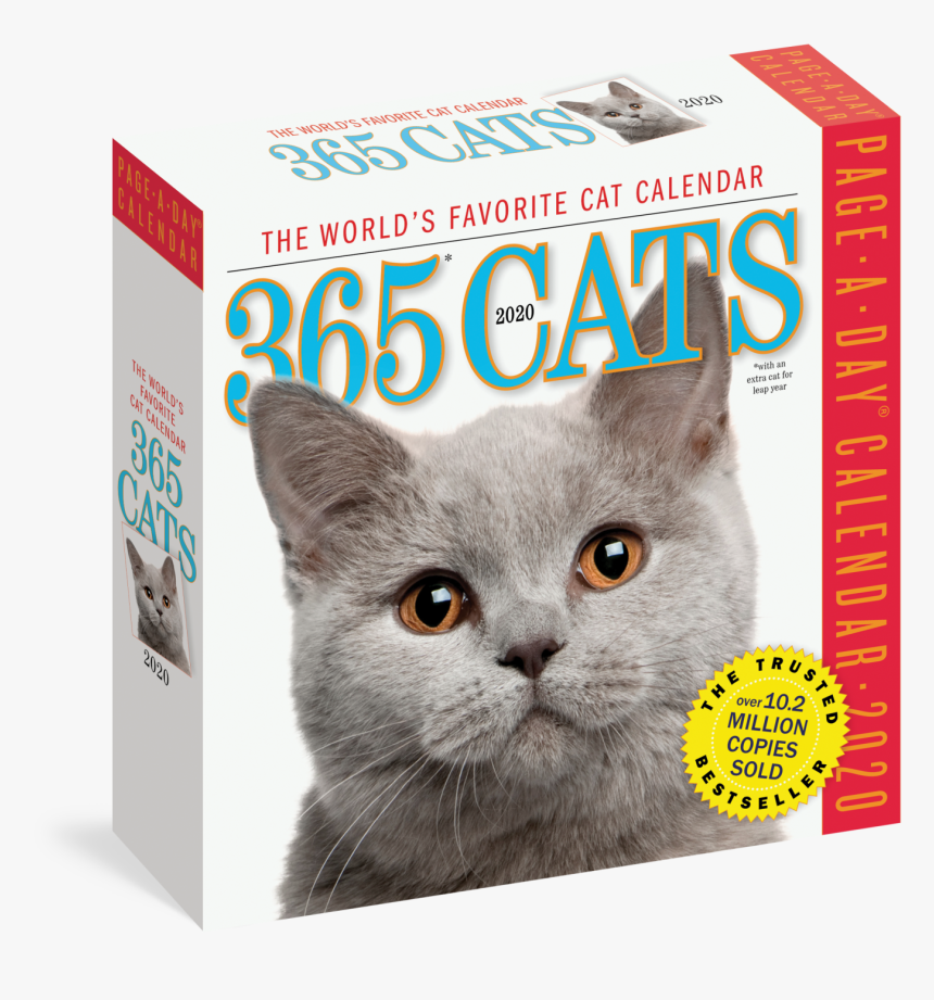 Cat Calendar Cover 2 "
 Class="img Responsive Owl - Per Day Calendar Cats, HD Png Download, Free Download
