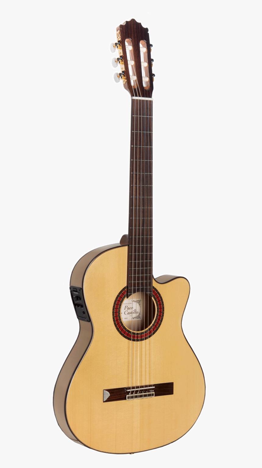 Guitarra Cut-away Thin Body 233 Fte - Bouzouki Mandolin, HD Png Download, Free Download