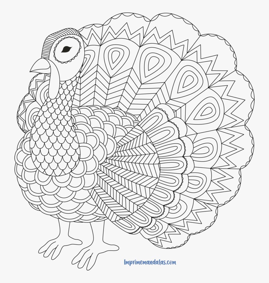 Mandala De Animales Pdf - Turkey Coloring Pages, HD Png Download, Free Download