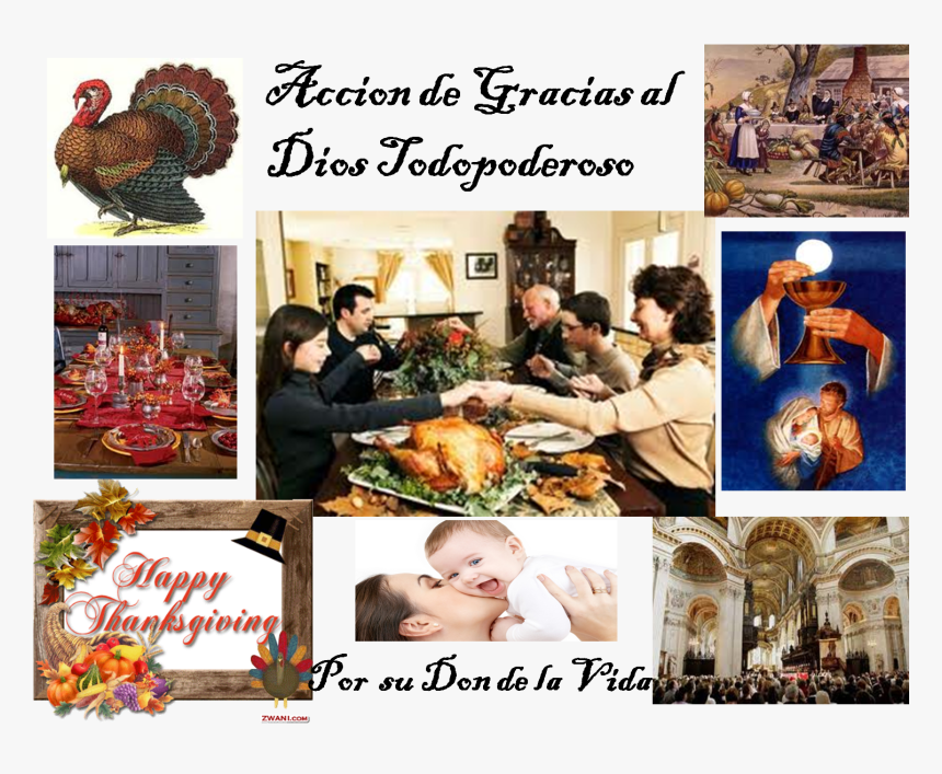 Thanksgiving Day Celebration Usa, HD Png Download, Free Download