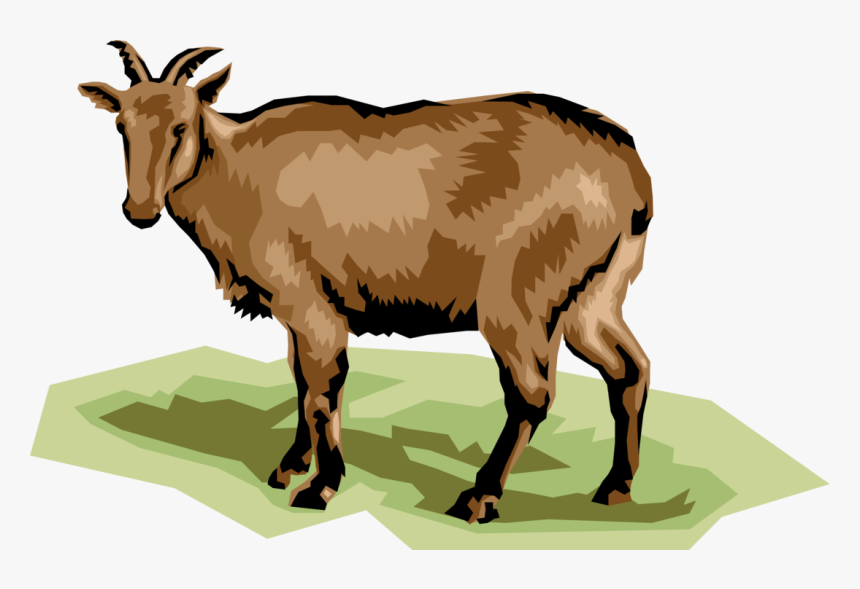 Vector Illustration Of Ruminant Mammal Deer - Goat, HD Png Download, Free Download