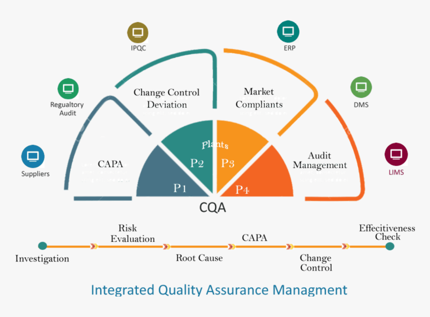 Enterprise Wide Quality Assurance Management & Metrics - Vector Graphics, HD Png Download, Free Download