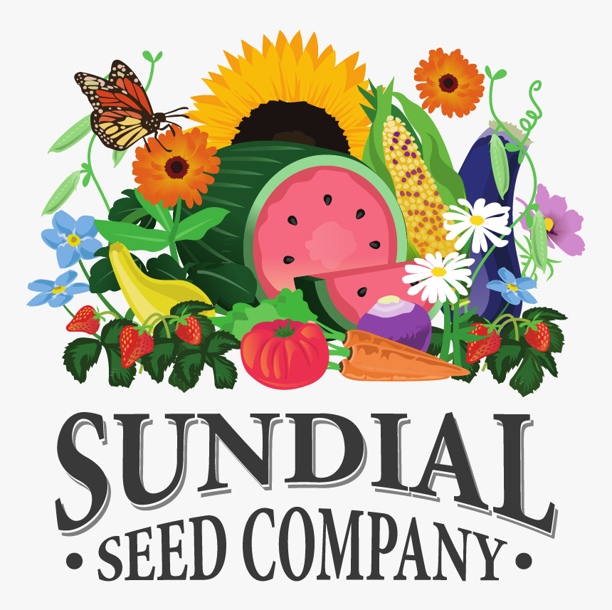 Sundiallogo - Sunflower, HD Png Download, Free Download