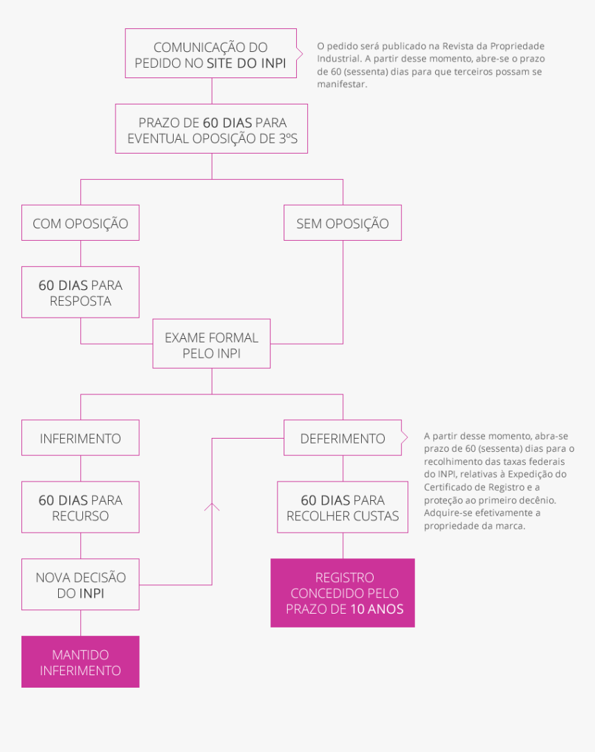 Fluxograma Um Determinado Órgão Público, HD Png Download, Free Download