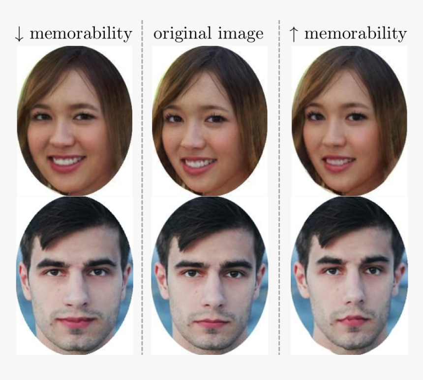 What Makes A Face More Memorable The Exact Features - Do People With Prosopagnosia See, HD Png Download, Free Download