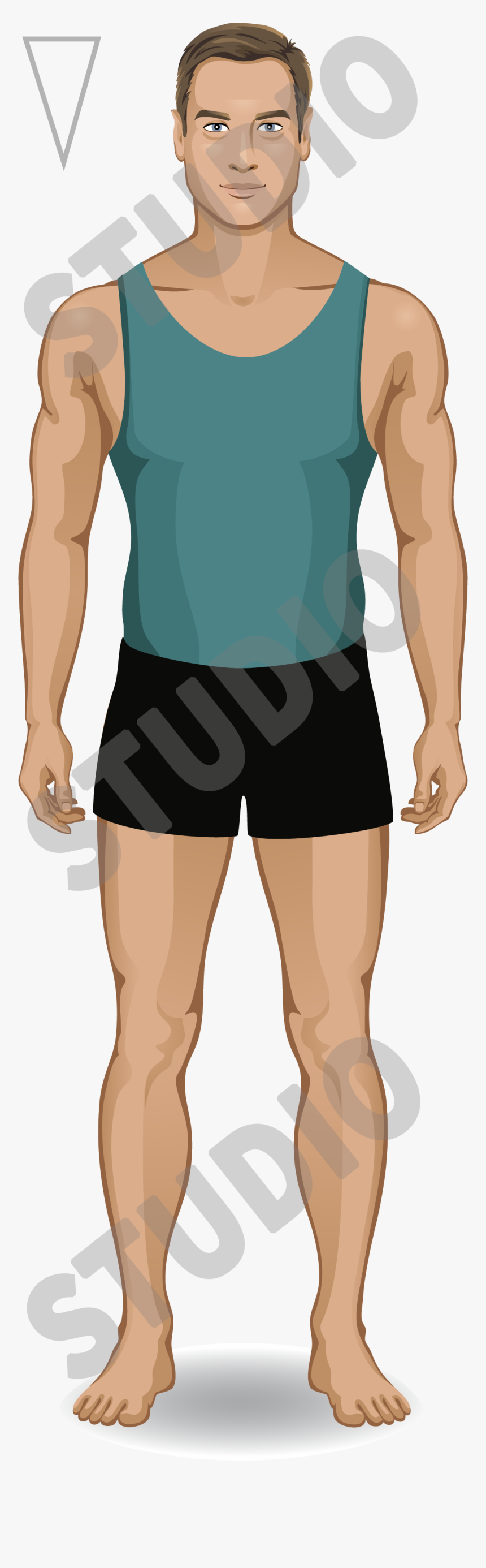 Inverted Triangle Body Shape Muscles, HD Png Download, Free Download