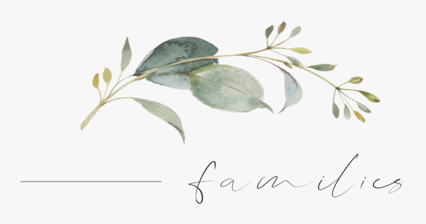 Families Png - Bay Laurel, Transparent Png, Free Download