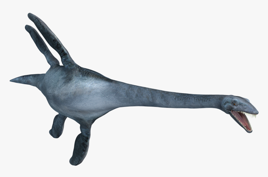 Thumb Image - Elasmosaurus Png, Transparent Png, Free Download