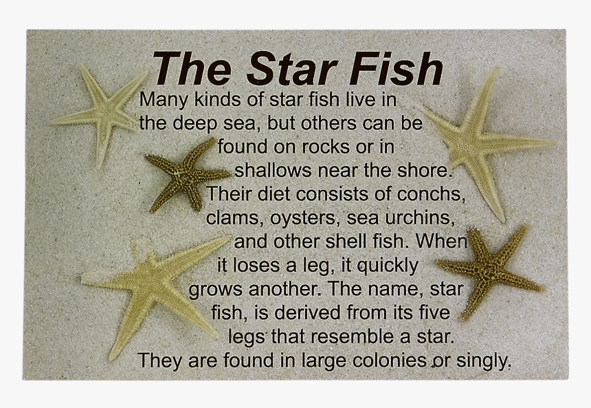 Legend Of The Sea Star Post Card - Jamaican Escovitch Fish, HD Png Download, Free Download