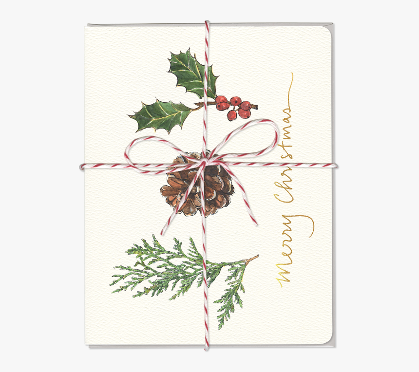 Christmas Joy Card Set Of - Chrysanths, HD Png Download, Free Download