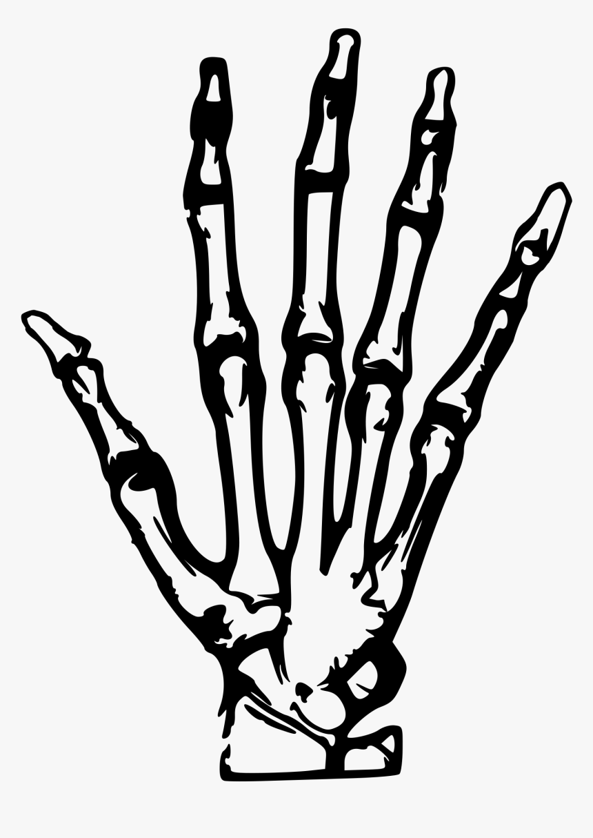 This Free Icons Png Design Of Hand X-ray - Skeleton Hand Tattoo Png, Transparent Png, Free Download